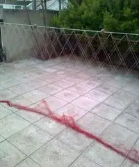 Tramagli semi nuovi Tramagli semi nuovi