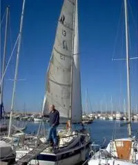 Barca a vela HALLBERG RASSY 312 Barca a vela HALLBERG RASSY 312