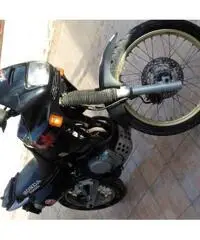 Perfetta Perfetta