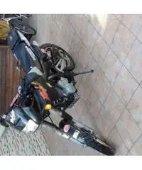 Perfetta Perfetta