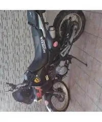 Perfetta Perfetta
