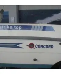 Concord Strike top Concord Strike top