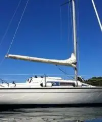barca a vela DEHLER 28 anno 1988 lunghezza mt 8,5 barca a vela DEHLER 28 anno 1988 lunghezza mt 8,5
