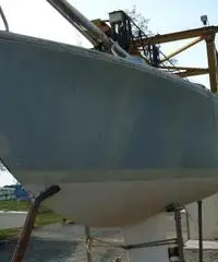 BARCA VELA BARCA VELA