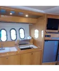 ABSOLUTE Absolute 41