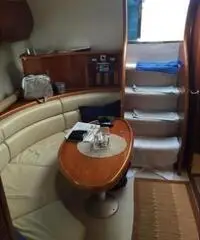 ASTONDOA AS 40 Open ASTONDOA AS 40 Open