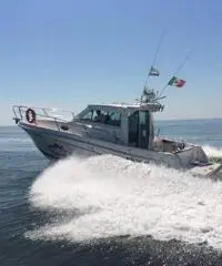 Faeton Moraga 910 Faeton Moraga 910