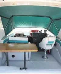 REGAL MARINE 290 COMMODORE REGAL MARINE 290 COMMODORE