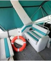 REGAL MARINE 290 COMMODORE REGAL MARINE 290 COMMODORE