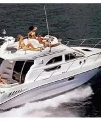 SEALINE F 33 SEALINE F 33