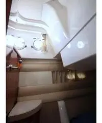 SEALINE F 33 SEALINE F 33