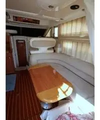 SEALINE F 33 SEALINE F 33