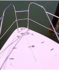 SEALINE F 33 SEALINE F 33