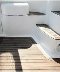 SEALINE F 33 SEALINE F 33