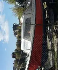 vendo pilotina cranchi con motore tohatsu 40 hp vendo pilotina cranchi con motore tohatsu 40 hp