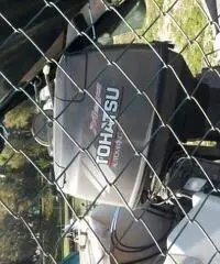 vendo pilotina cranchi con motore tohatsu 40 hp vendo pilotina cranchi con motore tohatsu 40 hp
