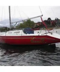 Stag 29 Stag 29