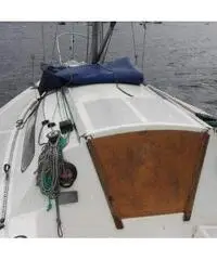 Stag 29 Stag 29
