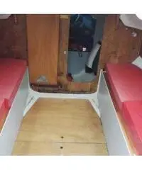 Stag 29 Stag 29