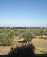 Appartamento in Affitto di 25mq Appartamento in Affitto di 25mq