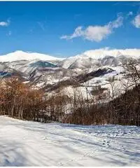 Fiumalbo Vendita Appartamento Fiumalbo Vendita Appartamento