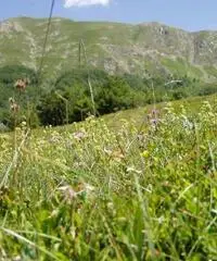 Casa indipendente a Fiumalbo Casa indipendente a Fiumalbo