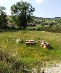 Terreno in Vendita a 30.000 Terreno in Vendita a 30.000