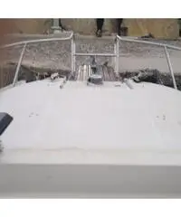 Boston Whaler Revenge 25