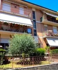Oltre Savio: Vendita Quadrilocali in Via Arturo Graf Oltre Savio: Vendita Quadrilocali in Via Arturo Graf