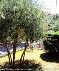 Oltre Savio: Vendita Quadrilocali in Via Arturo Graf Oltre Savio: Vendita Quadrilocali in Via Arturo Graf