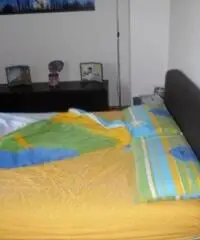 Casa indipendente in Vendita a Meldola