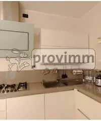 San Mauro in Valle: Vendita Quadrilocali in VIA SAVIO, 840 San Mauro in Valle: Vendita Quadrilocali in VIA SAVIO, 840