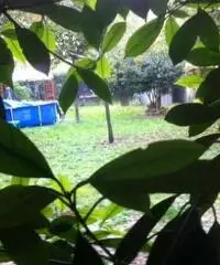 villa unifamiliare con 2 appartamenti villa unifamiliare con 2 appartamenti