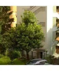 Appartamento in vendita a Genova, Quarto Appartamento in vendita a Genova, Quarto
