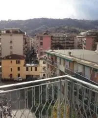 Vendita Bilocale in Via Rizzo Vendita Bilocale in Via Rizzo