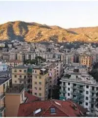 Vendita Trilocale in Via dei Glicini Vendita Trilocale in Via dei Glicini