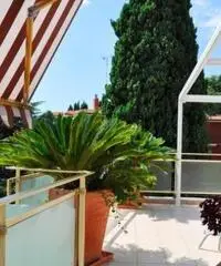 Vendita Attico in Via Franco Norero Vendita Attico in Via Franco Norero