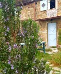 Rustico Giuseppe Rustico Giuseppe