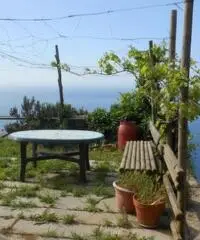 Rustico Giuseppe Rustico Giuseppe