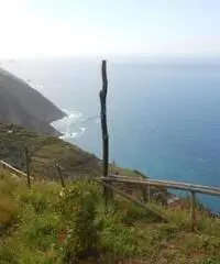 Rustico Giuseppe Rustico Giuseppe