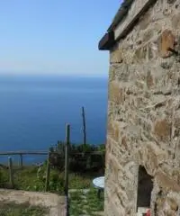 Rustico Giuseppe Rustico Giuseppe