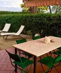 Villa delle Mimose Villa delle Mimose