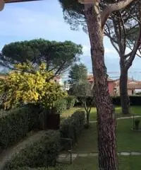 Villa delle Mimose Villa delle Mimose