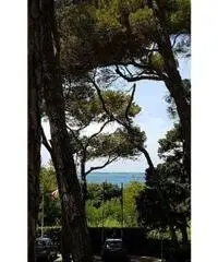 APPARTAMENTI - CIVILE ABITAZIONE - ROSIGNANO MARITTIMO APPARTAMENTI - CIVILE ABITAZIONE - ROSIGNANO MARITTIMO