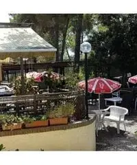 APPARTAMENTI - CIVILE ABITAZIONE - ROSIGNANO MARITTIMO APPARTAMENTI - CIVILE ABITAZIONE - ROSIGNANO MARITTIMO