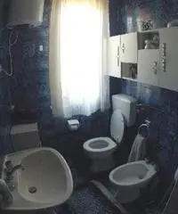 APPARTAMENTI - CIVILE ABITAZIONE - ROSIGNANO MARITTIMO APPARTAMENTI - CIVILE ABITAZIONE - ROSIGNANO MARITTIMO