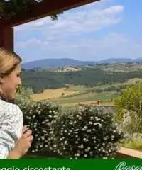 Vendita Trilocale in Strada Provinciale Frassine Vendita Trilocale in Strada Provinciale Frassine