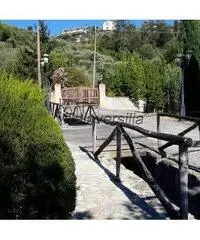Appartamento in vendita a Massarosa 112 mq Appartamento in vendita a Massarosa 112 mq
