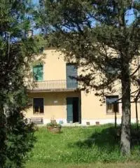 Terratetto in vendita a Altopascio 450 mq Terratetto in vendita a Altopascio 450 mq