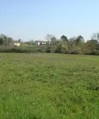 Terratetto in vendita a Altopascio 450 mq Terratetto in vendita a Altopascio 450 mq